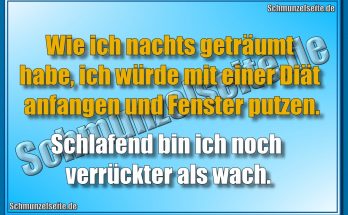 Wie ich nachts geträumt habe, ich würde mit einer Diät anfangen und Fenster putzen. Schlafend bin ich noch verrückter als wach.