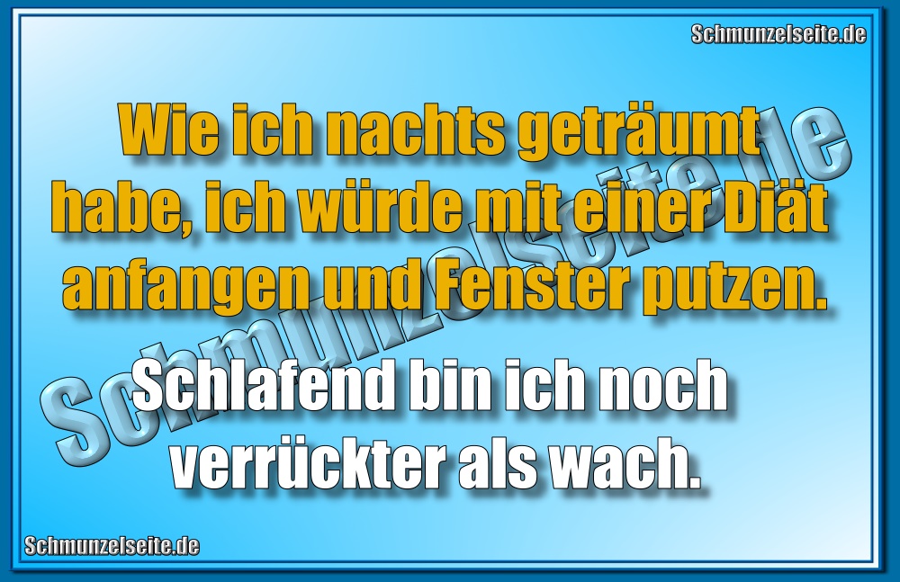 Wie ich nachts geträumt habe, ich würde mit einer Diät anfangen und Fenster putzen. Schlafend bin ich noch verrückter als wach.