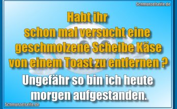 Habt ihr schon mal versucht eine geschmolzene Scheibe Käse von einem Toast zu entfernen? Ungefähr so bin ich heute morgen aufgestanden.