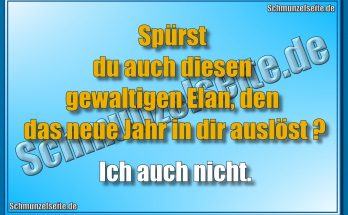 Spürst du auch diesen gewaltigen Elan, den das neue Jahr in dir auslöst? Ich auch nicht.