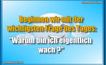 Beginnen wir mit der wichtigsten Frage des Tages: "Warum bin ich eigentlich wach?"