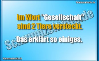 Im Wort "Gesellschaft" sind 2 Tiere versteckt. Das erklärt so einiges.