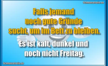 Falls jemand noch gute Gründe sucht, um im Bett zu bleiben. Es ist kalt, dunkel und noch nicht Freitag.