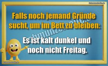 Falls noch jemand Gründe sucht, um im Bett zu bleiben: Es ist kalt dunkel und noch nicht Freitag.