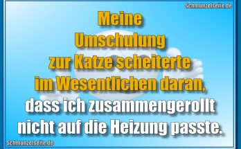 Meine Umschulung zur Katze scheiterte im Wesentlichen daran, dass ich zusammengerollt nicht auf die Heizung passte.