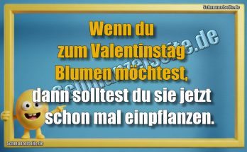 Wenn du zum Valentinstag Blumen möchtest, dann solltest du sie jetzt schon mal einpflanzen.