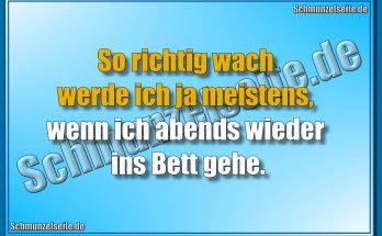 So richtig wach werde ich ja meistens, wenn ich abends wieder ins Bett gehe.