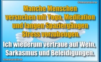 Manche Menschen versuchen mit Yoga, Meditation und langen Spaziergängen Stress vorzubeugen. Ich wiederum vertraue auf Wein, Sarkasmus und Beleidigungen.