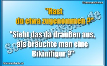 "Hast du etwa zugenommen?" "Sieht das da draußen aus, als bräuchte man eine Bikinifigur?"