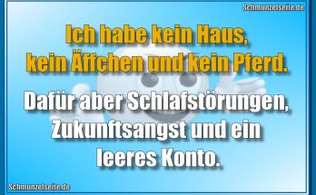 Ich habe kein Haus, kein Äffchen und kein Pferd. Dafür aber Schlafstörungen, Zukunftsangst und ein leeres Konto.
