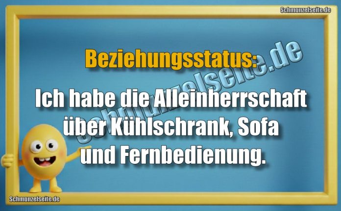 Beziehungsstatus: Ich habe die Alleinherrschaft über Kühlschrank, Sofa und Fernbedienung.