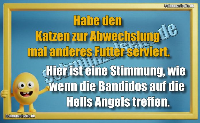 Habe den Katzen zur Abwechslung mal anderes Futter serviert. Hier ist eine Stimmung, wie wenn die Bandidos auf die Hells Angels treffen.