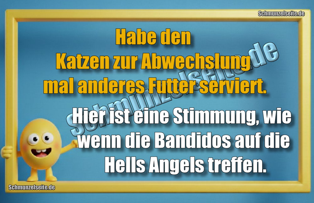 Habe den Katzen zur Abwechslung mal anderes Futter serviert. Hier ist eine Stimmung, wie wenn die Bandidos auf die Hells Angels treffen.