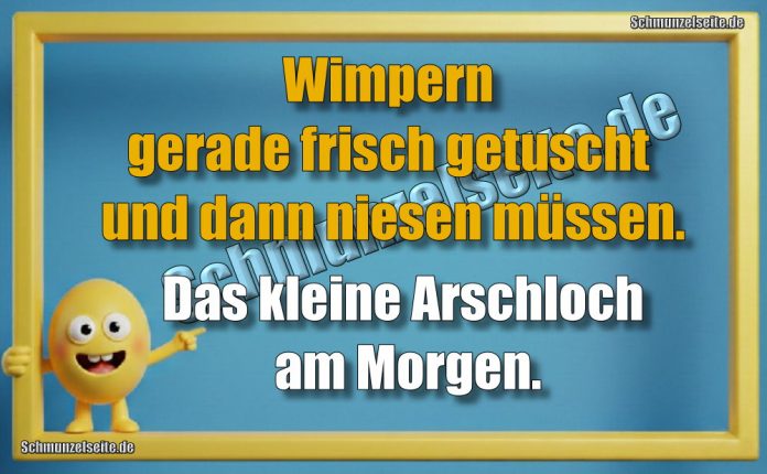 Wimpern gerade frisch getuscht und dann niesen müssen. Das kleine Arschloch am Morgen.