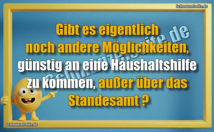Gibt es eigentlich noch andere Möglichkeiten, günstig an eine Haushaltshilfe zu kommen, außer über das Standesamt?