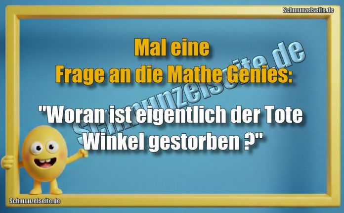 Mal eine Frage an die Mathe Genies: "Woran ist eigentlich der Tote Winkel gestorben?"