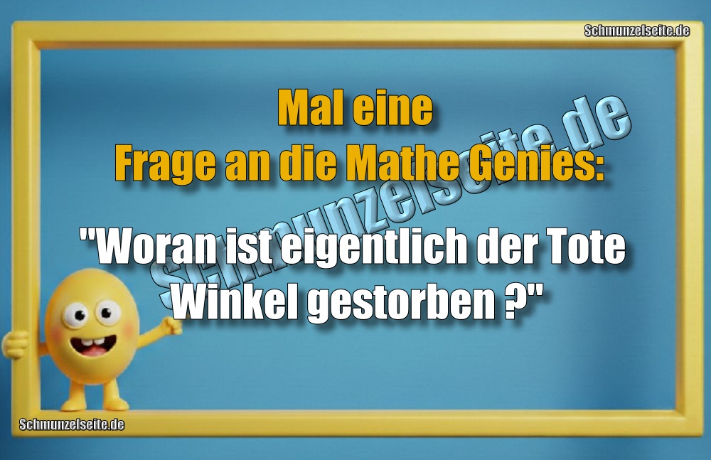 Mal eine Frage an die Mathe Genies: "Woran ist eigentlich der Tote Winkel gestorben?"