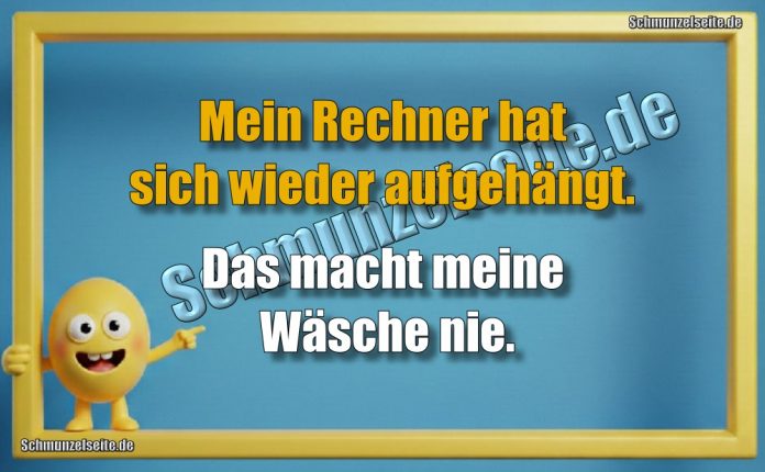 Mein Rechner hat sich wieder aufgehängt. Das macht meine Wäsche nie.