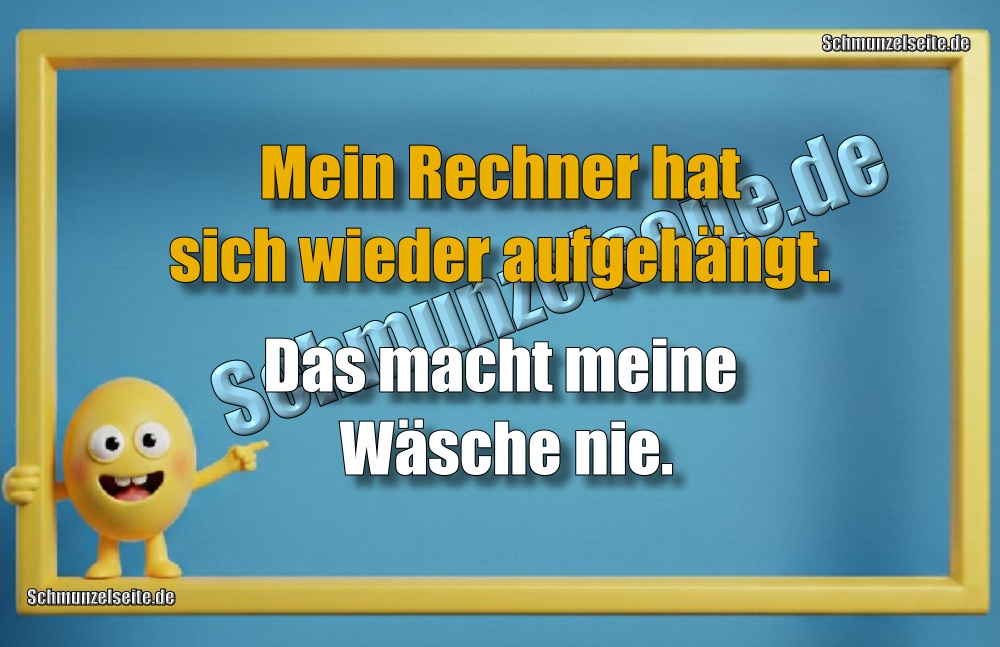Mein Rechner hat sich wieder aufgehängt. Das macht meine Wäsche nie.
