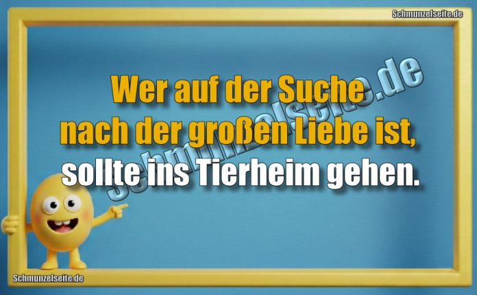 Wer auf der Suche nach der großen Liebe ist, sollte ins Tierheim gehen.