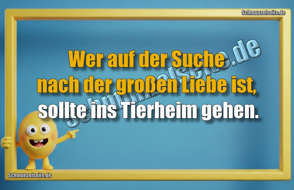 Wer auf der Suche nach der großen Liebe ist, sollte ins Tierheim gehen.