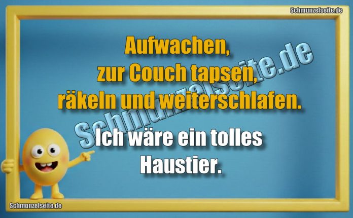 Aufwachen, zur Couch tapsen, räkeln und weiterschlafen. Ich wäre ein tolles Haustier.
