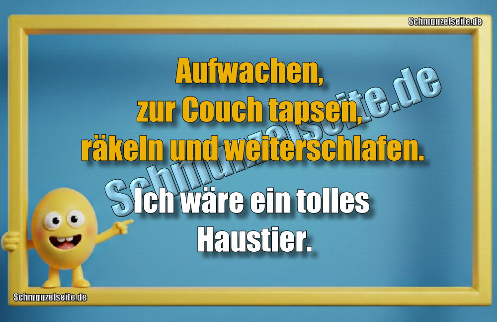 Aufwachen, zur Couch tapsen, räkeln und weiterschlafen. Ich wäre ein tolles Haustier.