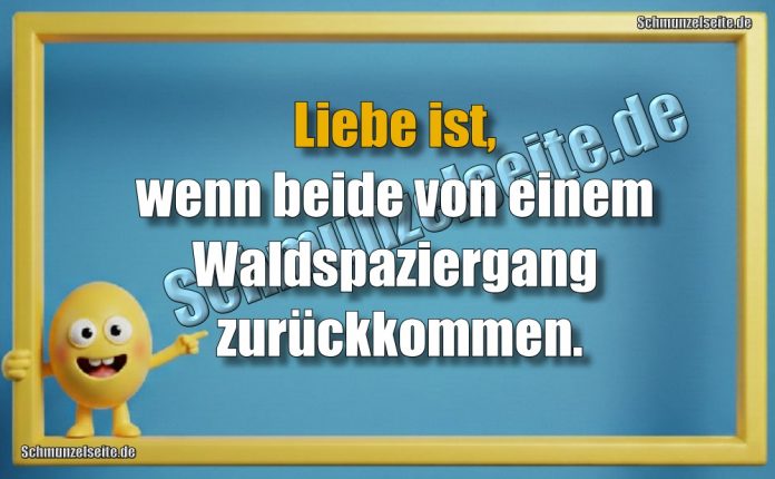 Liebe ist, wenn beide von einem Waldspaziergang zurückkommen.
