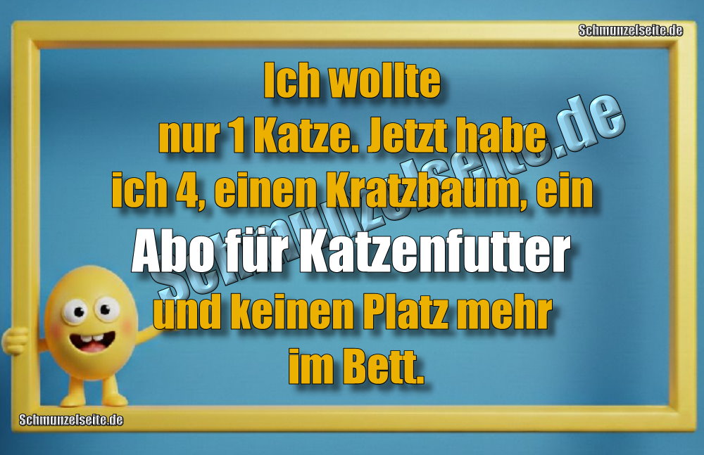 Ich wollte nur 1 Katze. Jetzt habe ich 4, einen Kratzbaum, ein Abo für Katzenfutter und keinen Platz mehr im Bett.