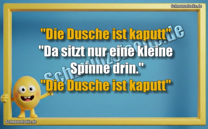 "Die Dusche ist kaputt" "da sitzt nur eine kleine Spinne drin." "Die Dusche ist kaputt"