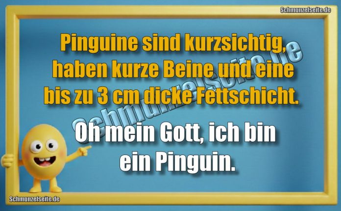 Pinguine sind kurzsichtig, haben kurze Beine und eine bis zu 3 cm dicke Fettschicht. Oh mein Gott, ich bin ein Pinguin.