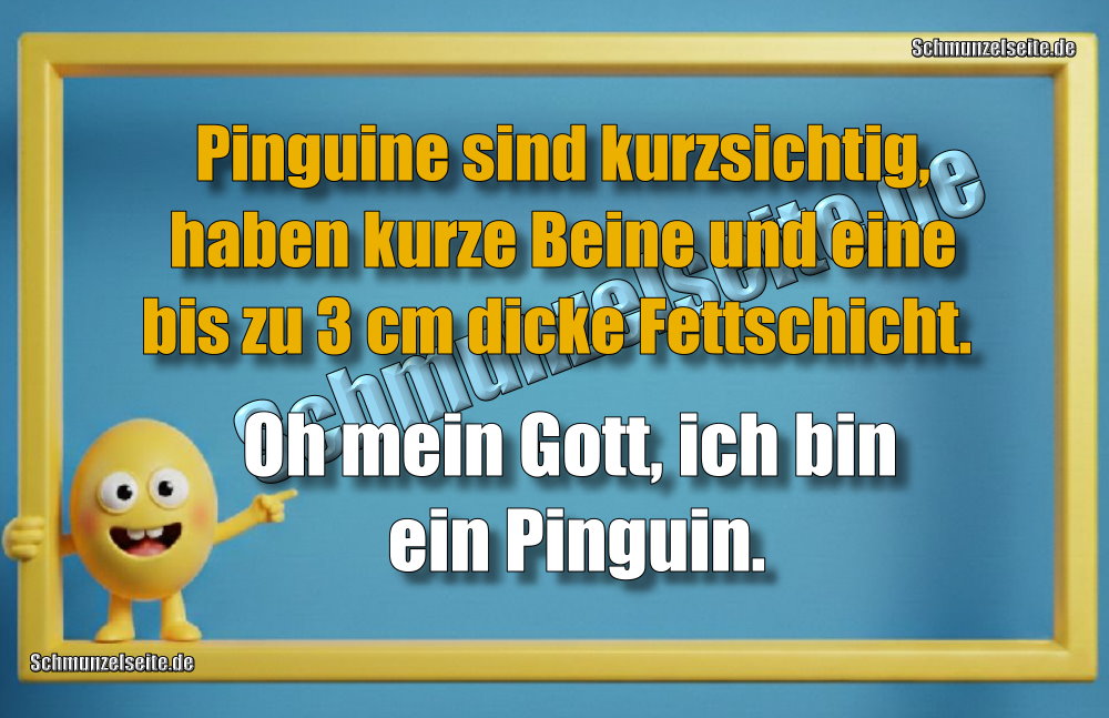 Pinguine sind kurzsichtig, haben kurze Beine und eine bis zu 3 cm dicke Fettschicht. Oh mein Gott, ich bin ein Pinguin.