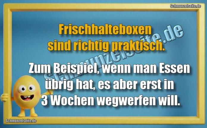 Frischhalteboxen sind richtig praktisch. Zum Beispiel, wenn man Essen übrig hat, es aber erst in 3 Wochen wegwerfen will.