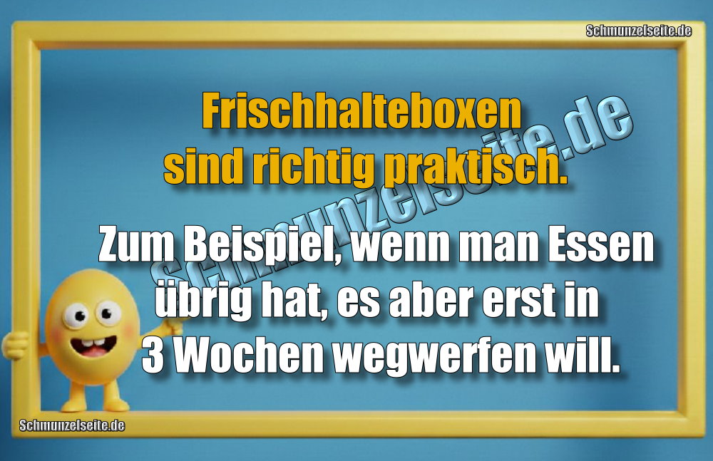 Frischhalteboxen sind richtig praktisch. Zum Beispiel, wenn man Essen übrig hat, es aber erst in 3 Wochen wegwerfen will.