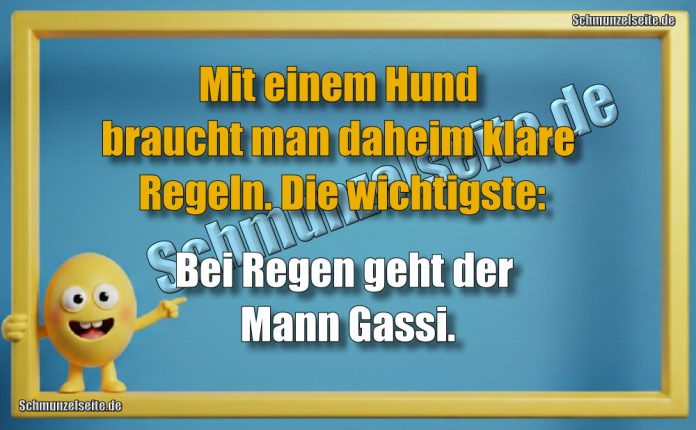 Mit einem Hund braucht man daheim klare Regeln. Die wichtigste: Bei Regen geht der Mann Gassi.