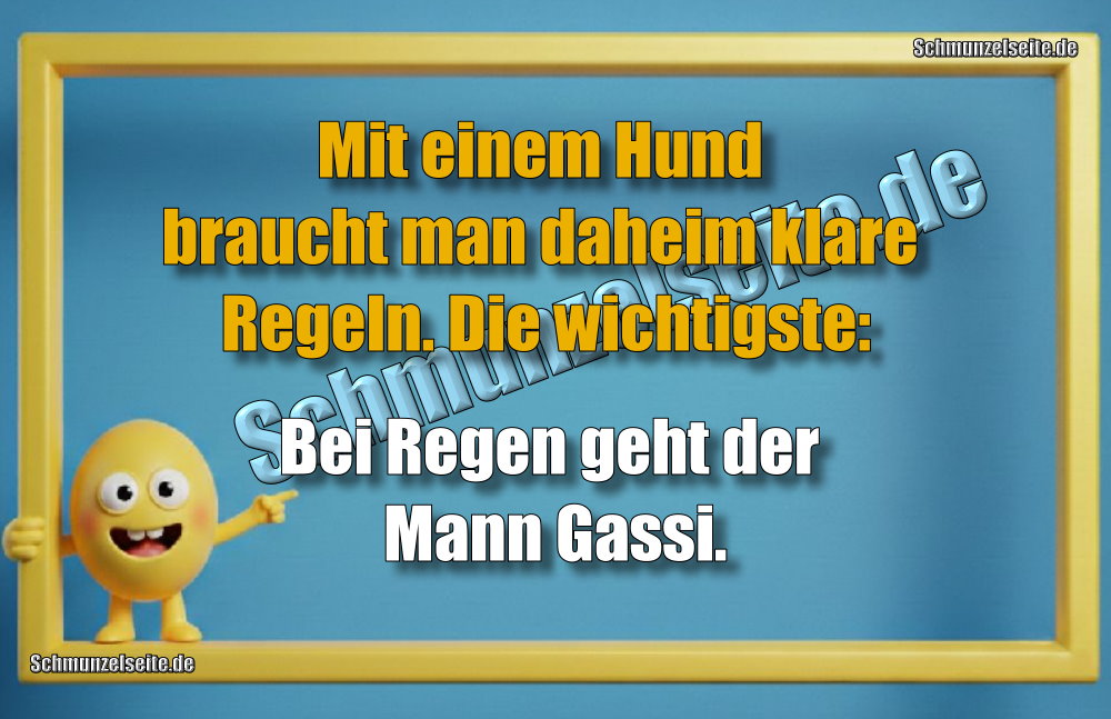 Mit einem Hund braucht man daheim klare Regeln. Die wichtigste: Bei Regen geht der Mann Gassi.