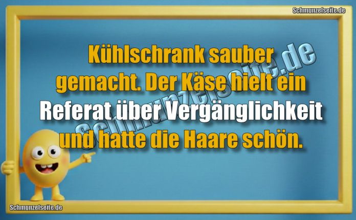 Kühlschrank sauber gemacht. Der Käse hielt ein Referat über Vergänglichkeit und hatte die Haare schön.