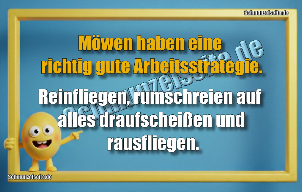 Möwen haben eine richtig gute Arbeitsstrategie. Reinfliegen, rumschreien auf alles draufscheißen und rausfliegen.
