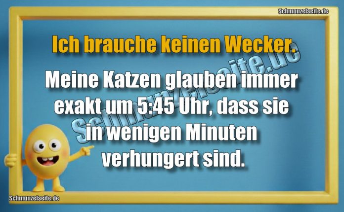 Ich brauche keinen Wecker. Meine Katzen glauben immer exakt um 5:45 Uhr, dass sie in wenigen Minuten verhungert sind.