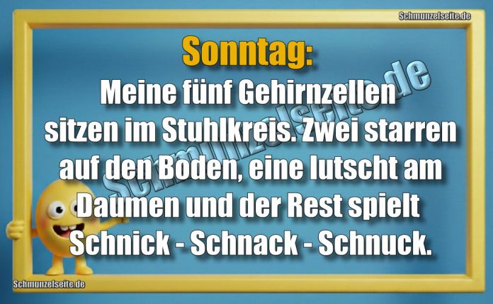 Sonntag: Meine fünf Gehirnzellen sitzen im Stuhlkreis. Zwei starren auf den Boden, eine lutscht am Daumen und der Rest spielt Schnick - Schnack - Schnuck.