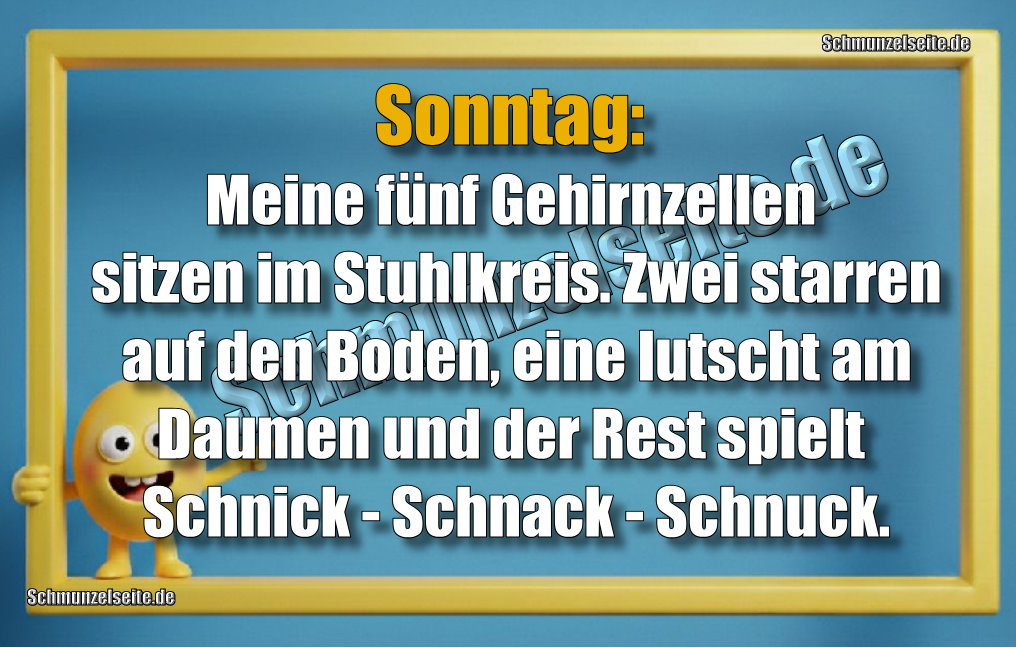 Sonntag: Meine fünf Gehirnzellen sitzen im Stuhlkreis. Zwei starren auf den Boden, eine lutscht am Daumen und der Rest spielt Schnick - Schnack - Schnuck.