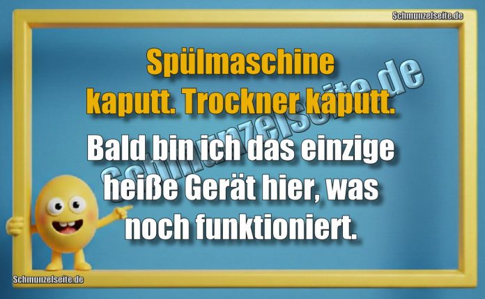 Spülmaschine kaputt. Trockner kaputt. Bald bin ich das einzige heiße Gerät hier, was noch funktioniert.
