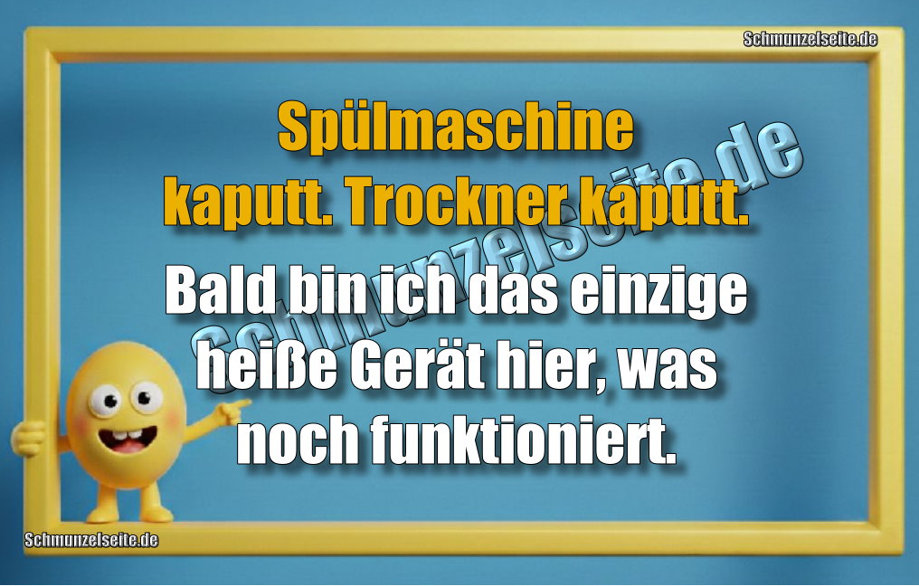 Spülmaschine kaputt. Trockner kaputt. Bald bin ich das einzige heiße Gerät hier, was noch funktioniert.