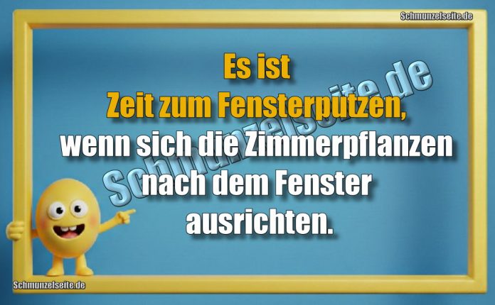 Es ist Zeit zum Fensterputzen, wenn sich die Zimmerpflanzen nach dem Fenster ausrichten.