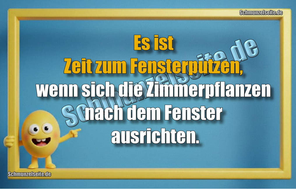 Es ist Zeit zum Fensterputzen, wenn sich die Zimmerpflanzen nach dem Fenster ausrichten.
