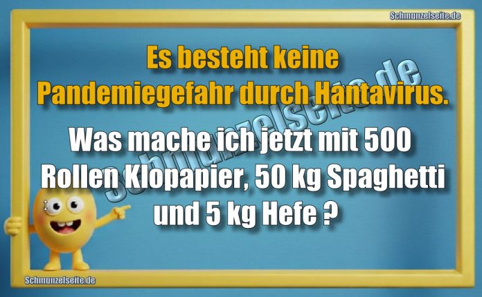 Es besteht keine Pandemiegefahr durch Hantavirus. Was mache ich jetzt mit 500 Rollen Klopapier, 50 kg Spaghetti und 5 kg Hefe?