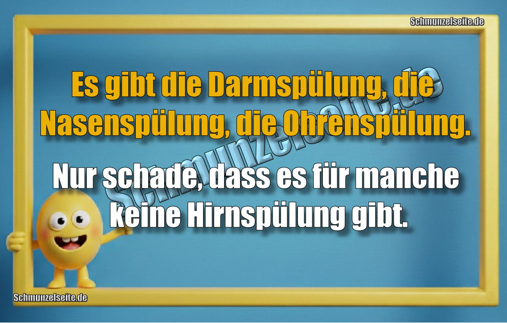 Es gibt die Darmspülung, die Nasenspülung, die Ohrenspülung. Nur schade, dass es für manche keine Hirnspülung gibt.