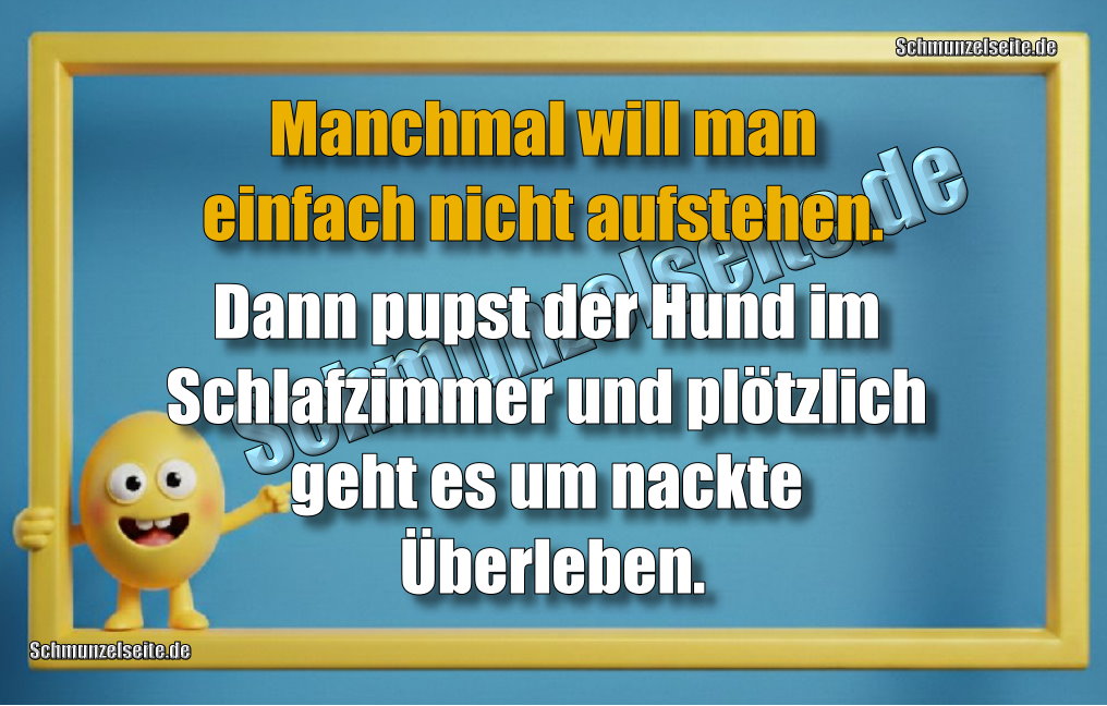 Manchmal will man einfach nicht aufstehen. Dann pupst der Hund im Schlafzimmer und plötzlich geht es um nackte Überleben.