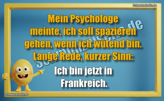 Mein Psychologe meinte, ich soll spazieren gehen, wenn ich wütend bin. Lange Rede, kurzer Sinn: Ich bin jetzt in Frankreich.