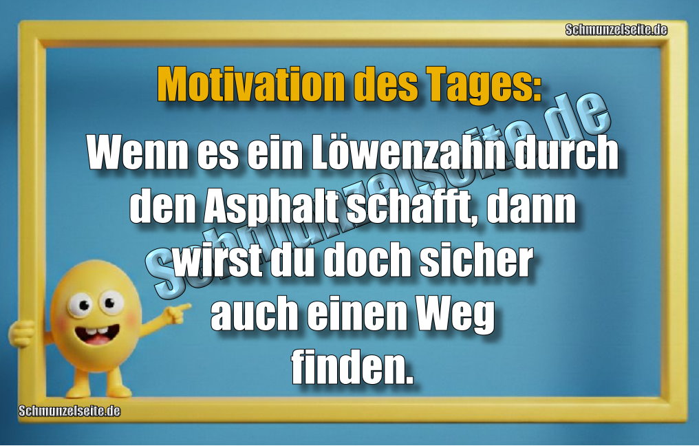 Motivation des Tages: Wenn es ein Löwenzahn durch den Asphalt schafft, dann wirst du doch sicher auch einen Weg finden. 